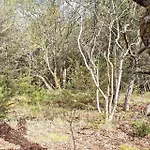 بيت للعطل 127-ringkobing-birkealle-1 *