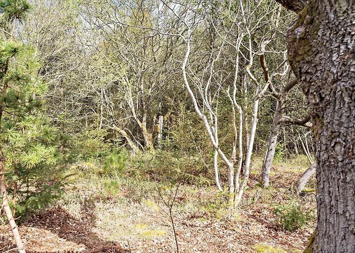 Nyaraló 127-ringkobing-birkealle-1 *